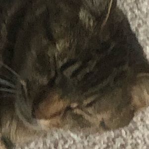 Meet your Posher, Markus